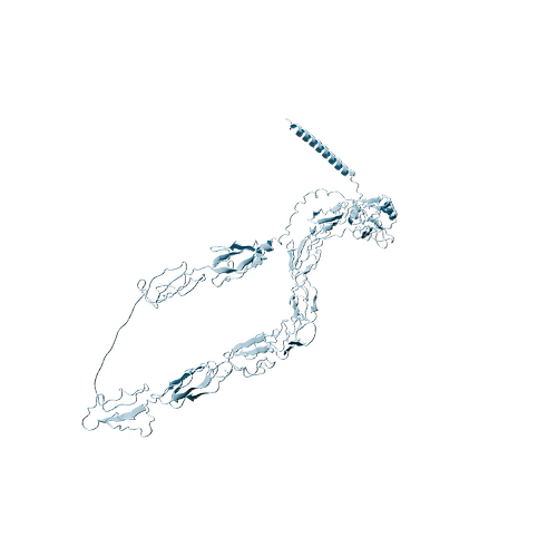 P16109-Human P-selectin -3d structure.jpg